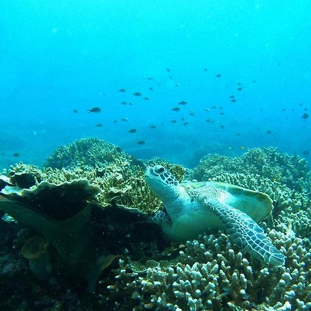 4 Sisters Divers บูนาแกน ภายนอก รูปภาพ