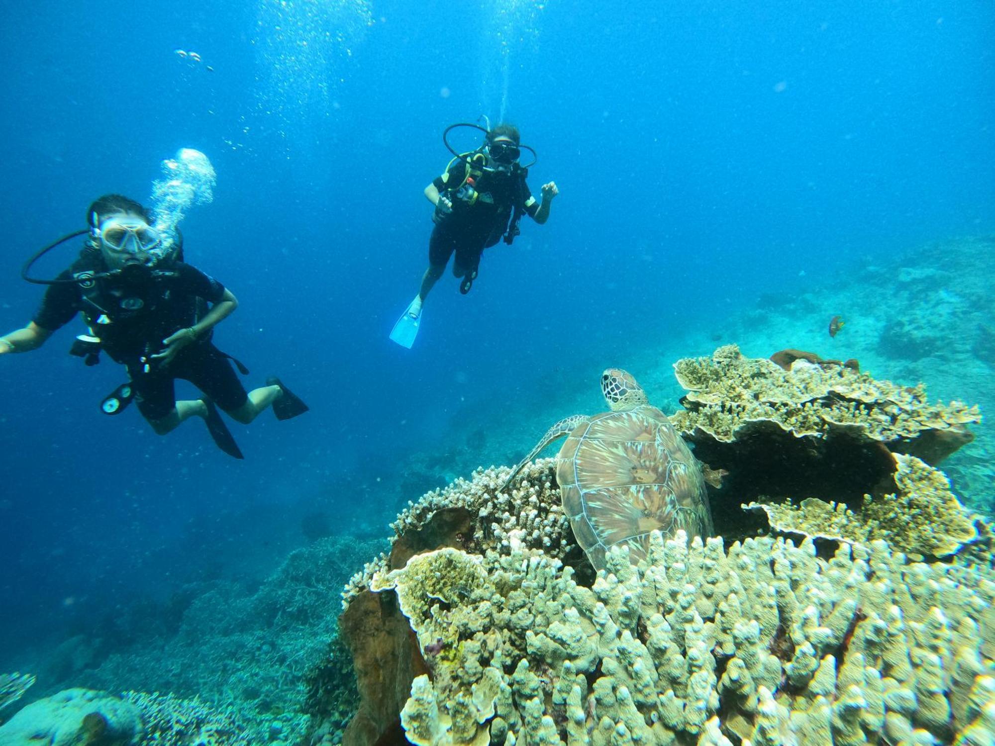 4 Sisters Divers บูนาแกน ภายนอก รูปภาพ