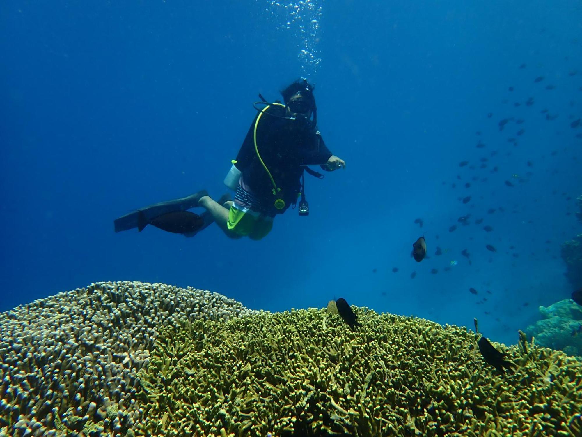 4 Sisters Divers บูนาแกน ภายนอก รูปภาพ